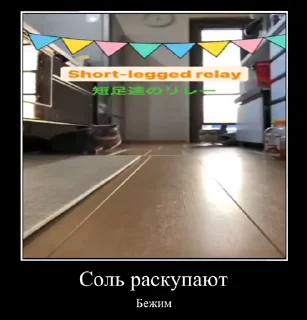 😶 emoji солевой @iam13yo Telegram sticker 13 of 50
