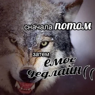 🥲 emoji Хуйня Telegram sticker 8 of 120