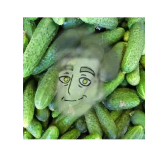 🥒 emoji Дыняматор и друзья Telegram sticker 18 of 20