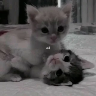 💕 emoji Милашка 💋 Telegram sticker 13 of 18