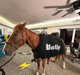 Sticker from Hubert the bullyhorse