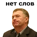 Sticker from Владимир Вольфович Ж
