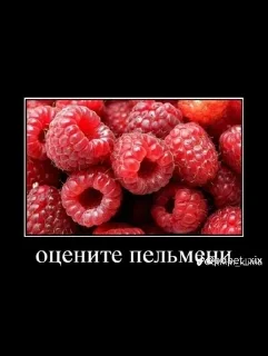 😄 emoji Амнезиак в жопе Telegram sticker 20 of 38