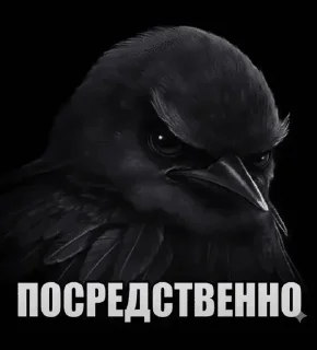 🌟 emoji Энгри бердз :: @kalban_20 Telegram sticker 23 of 49