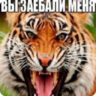 🌟 emoji Анатолий Деловой 777 Telegram sticker 22 of 120