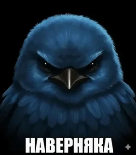 🌟 emoji Энгри бердз :: @kalban_20 Telegram sticker 22 of 49