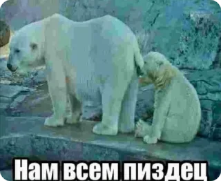 🌟 emoji Анатолий Деловой 777 Telegram sticker 20 of 120