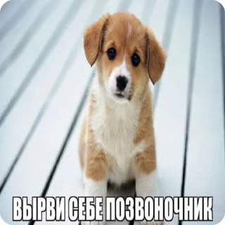 🌟 emoji Анатолий Деловой 777 Telegram sticker 8 of 120