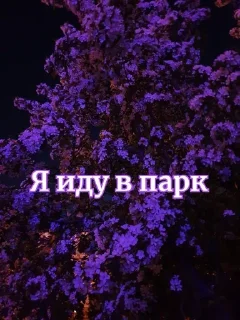 🌟 emoji Эстетик стик Telegram sticker 24 of 49