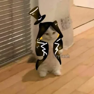 😽 emoji Cats sans | @ish_crim Telegram sticker 9 of 93