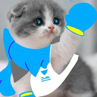 😽 emoji Cats sans | @ish_crim Telegram sticker 15 of 93