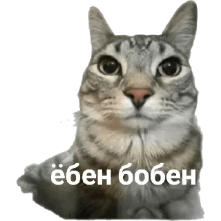 😬 emoji Мемы Telegram sticker 11 of 96