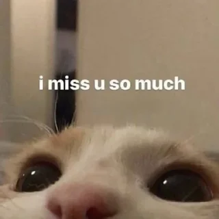 💔 emoji 💙вибрані меми💛 Telegram sticker 17 of 118