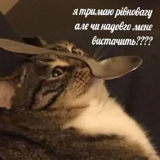🙏 emoji 💙вибрані меми💛 Telegram sticker 13 of 118