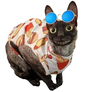 👓 emoji пиксель @pixel_gifs Telegram sticker 24 of 80