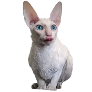 😛 emoji пиксель @pixel_gifs Telegram sticker 11 of 80