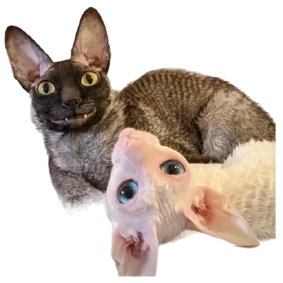 🥰 emoji пиксель @pixel_gifs Telegram sticker 21 of 80
