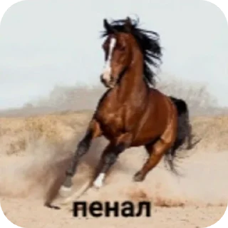🐎 emoji блясука Telegram sticker 8 of 18