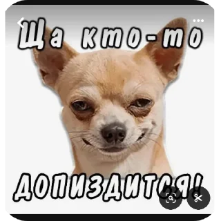 🖼 emoji Лололошка Telegram sticker 6 of 25
