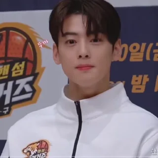 👽 emoji CHA EUN WOO — @berstickers Telegram sticker 5 of 30