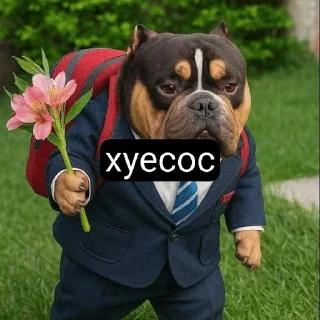 🌟 emoji какашки в кармашке Telegram sticker 10 of 71