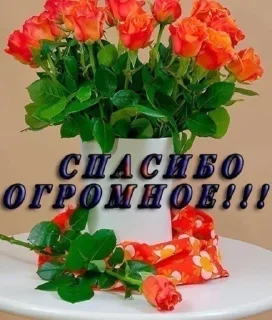 🌟 emoji Какашки Telegram sticker 14 of 120