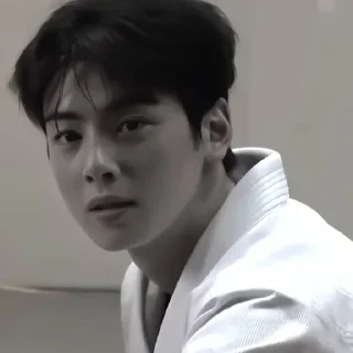 🏷 emoji Cha Eun Woo from:; @helpversace Telegram sticker 15 of 68