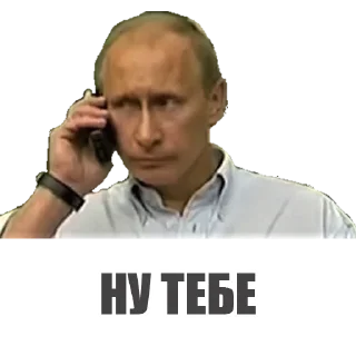 📞 emoji Михал Палыч Telegram sticker 12 of 114