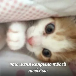 💞 emoji пикчи <3 Telegram sticker 8 of 22