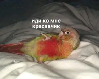 🌟 emoji пикчи <3 Telegram sticker 21 of 22