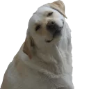 😊 emoji Animolz @stickerswc Telegram sticker 7 of 119