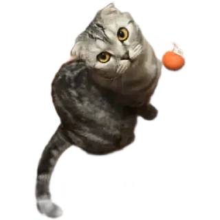 😎 emoji Бонни❤️ Telegram sticker 7 of 14