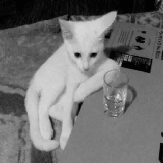 😔 emoji кипятильник Telegram sticker 8 of 39