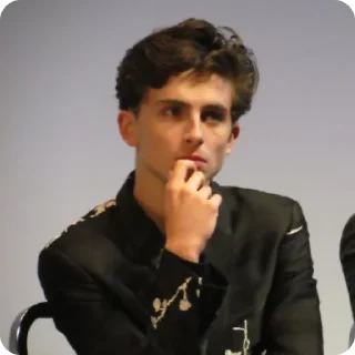 🤔 emoji Timothée Chalamet (@tfberg) Telegram sticker 21 of 49