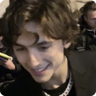 😄 emoji Timothée Chalamet (@tfberg) Telegram sticker 23 of 49