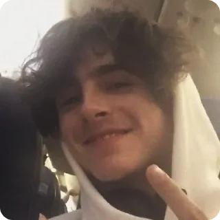 👋 emoji Timothée Chalamet (@tfberg) Telegram sticker 6 of 49