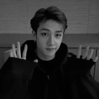 bang chan :; by @vinssstick sticker preview 3