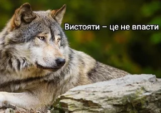 🐺 emoji Вовки Telegram sticker 23 of 32