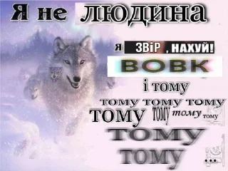 🐺 emoji Вовки Telegram sticker 5 of 32