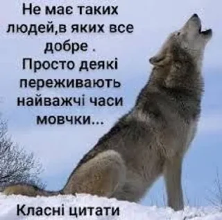 🐺 emoji Вовки Telegram sticker 11 of 32