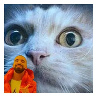 🤔 emoji Егор Telegram sticker 8 of 29