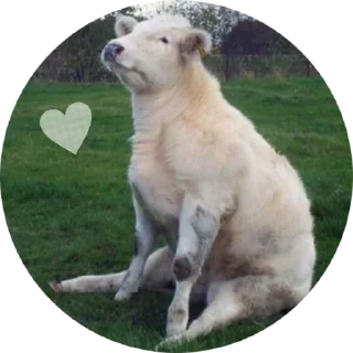 😋 emoji cow Telegram sticker 5 of 30