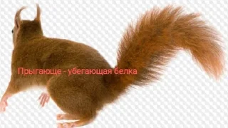 🌟 emoji Белка Telegram sticker 5 of 8