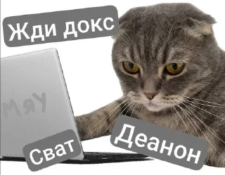 🌟 emoji Кот по имени Кот Telegram sticker 14 of 16