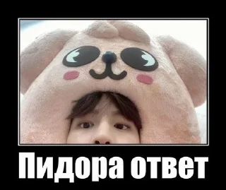 🐶 emoji Сынмин ю ноу? Сынмин ю ноу ю н Telegram sticker 10 of 39