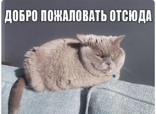 😠 emoji Обычный Telegram sticker 15 of 28