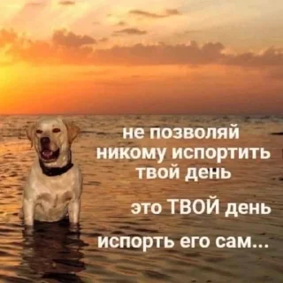 Sticker from ухаха