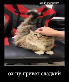 ⚡ emoji Куча Лун :: Автор:@Skuerny Telegram sticker 18 of 120