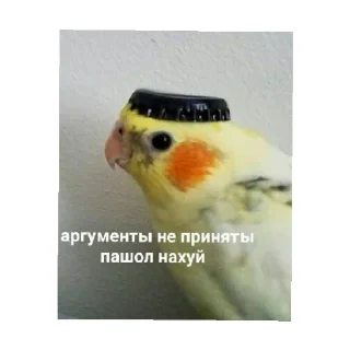😄 emoji КАР Telegram sticker 15 of 24