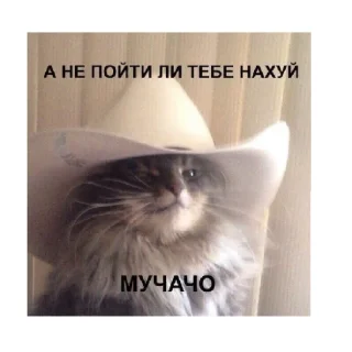 😄 emoji КАР Telegram sticker 22 of 24